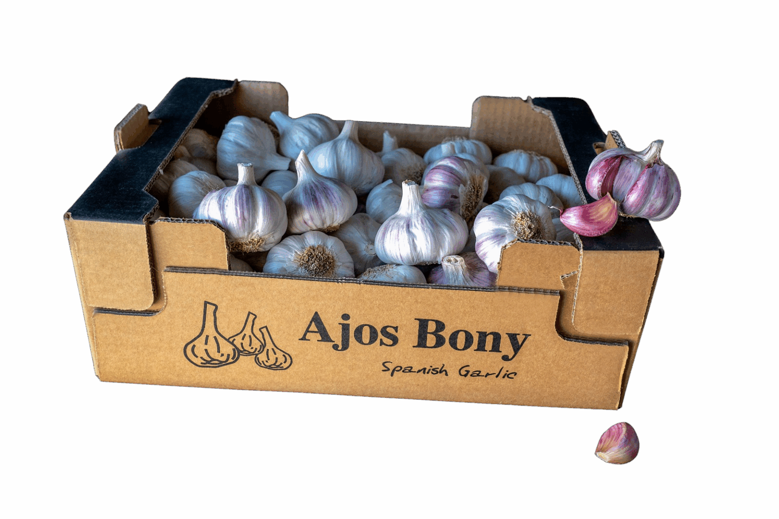 47658361-0a54-450a-8037-61f7936d56ba-1536×1023